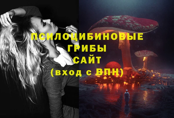 ешки Алзамай