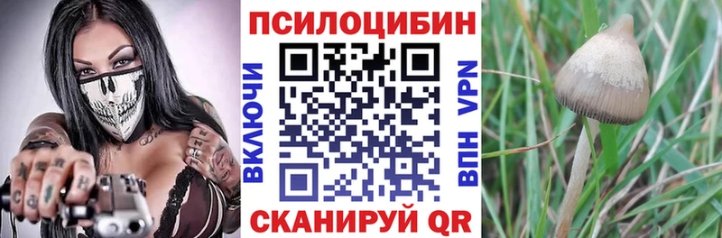 Псилоцибиновые грибы Magic Shrooms  цены наркотик  Ак-Довурак 